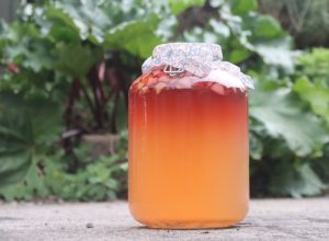 Rhubarb champagne