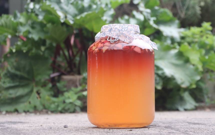 Rhubarb champagne