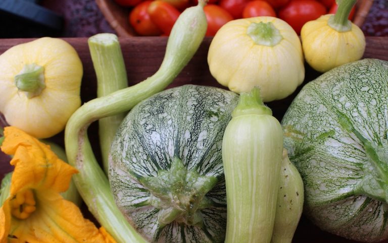 Simple Skills for Self-Sufficiency
