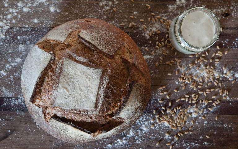 sourdough starter