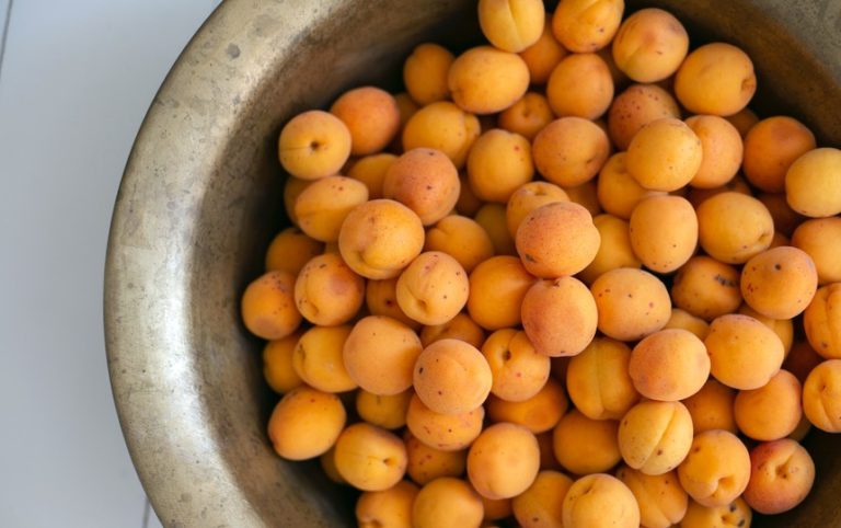 Spiced Apricot and Apple Chutney Recipe