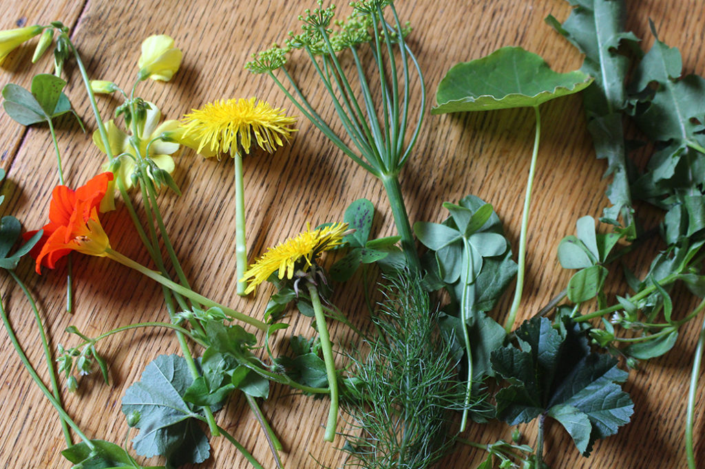 spring weed foraging spread