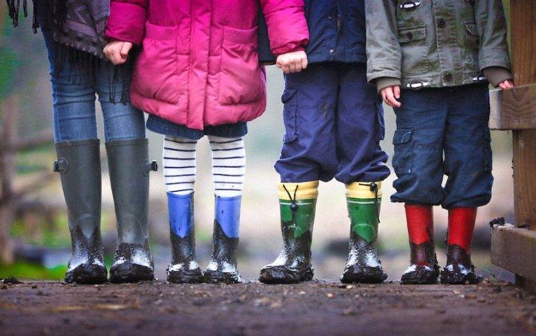Sustainability Activities for Kids