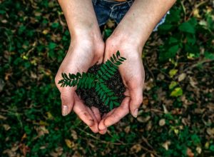 Sustainable Living