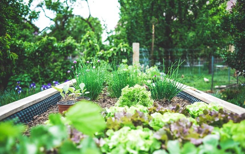 Sustainable Living