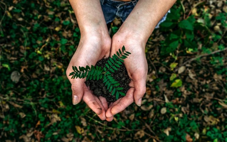 Sustainable Living