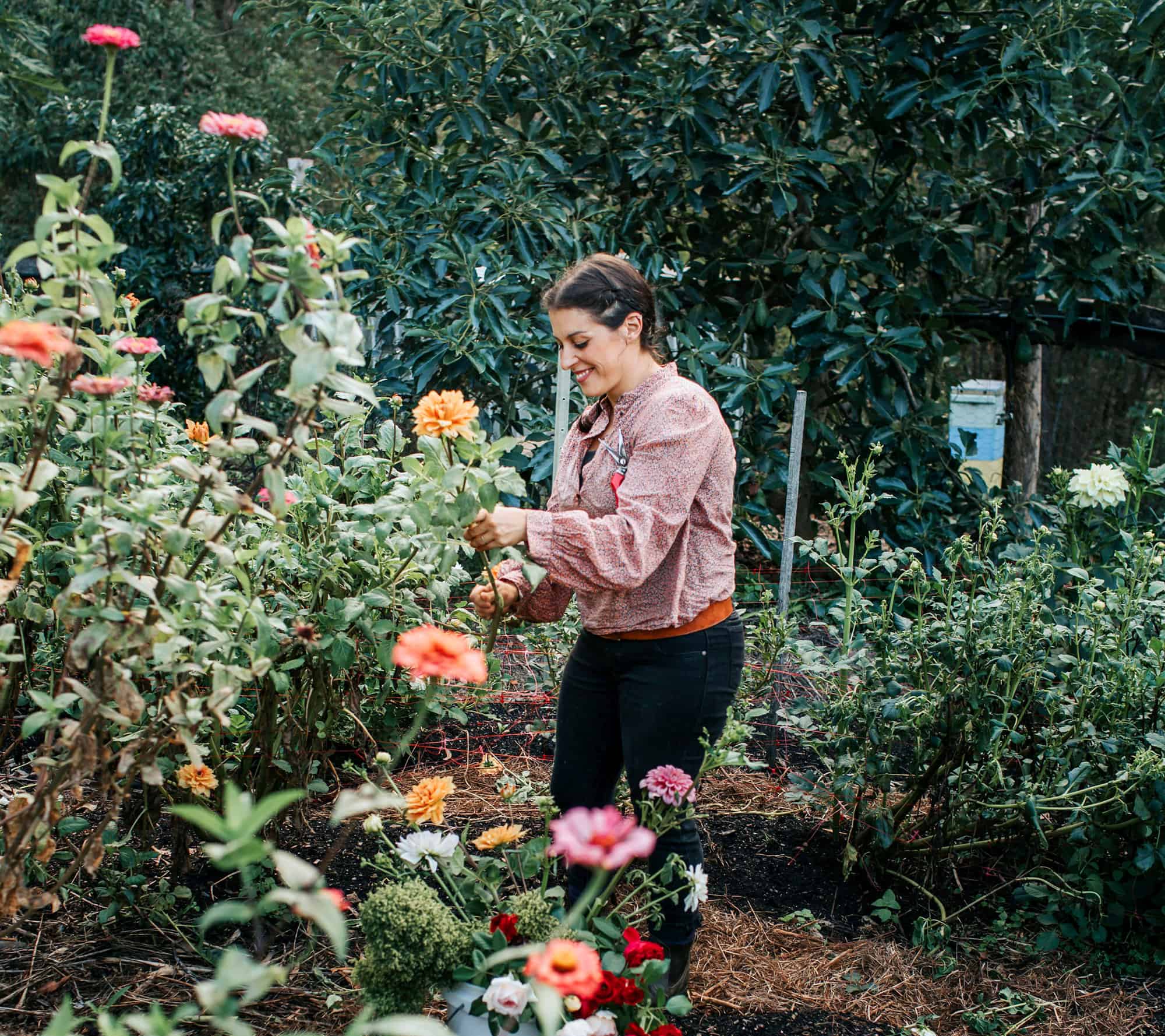 Tara harvesting slow flowers Bonnie Sevi from Lily at Dawn