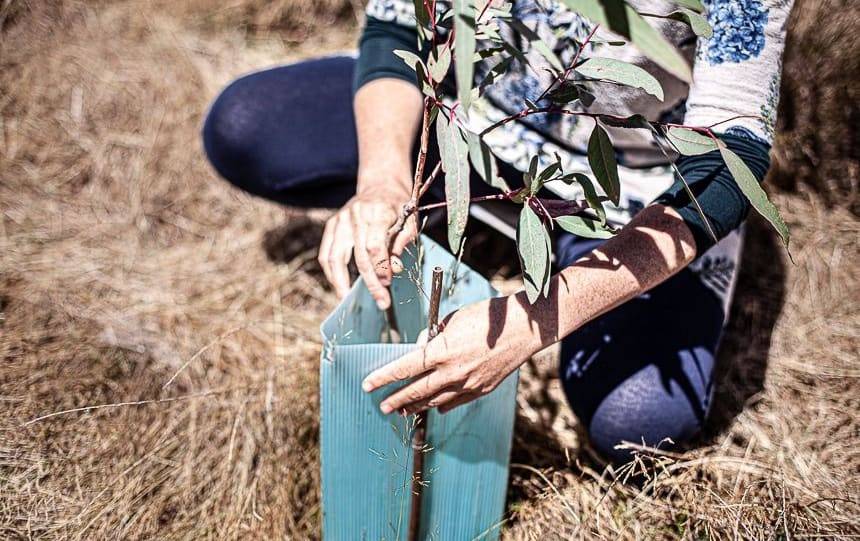 The Benefits of Joining a Landcare Group 