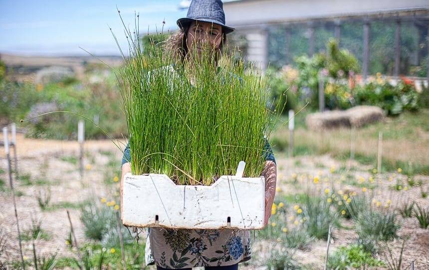 landcare australia