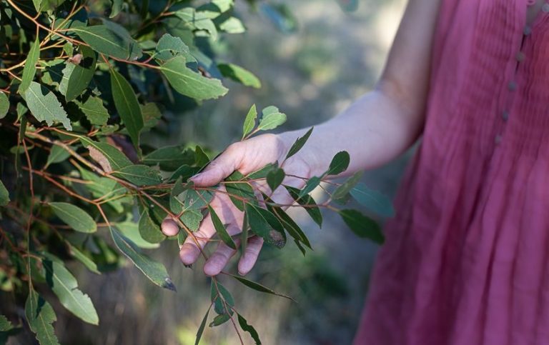 The Benefits of Joining a Landcare Group