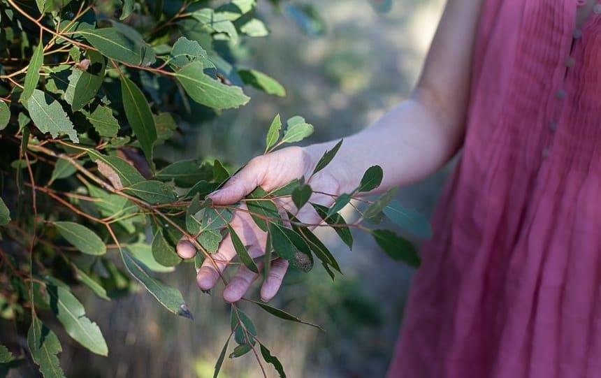The Benefits of Joining a Landcare Group