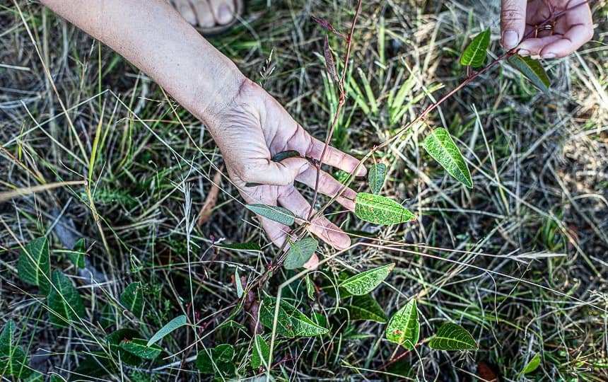 caring for the environment 
