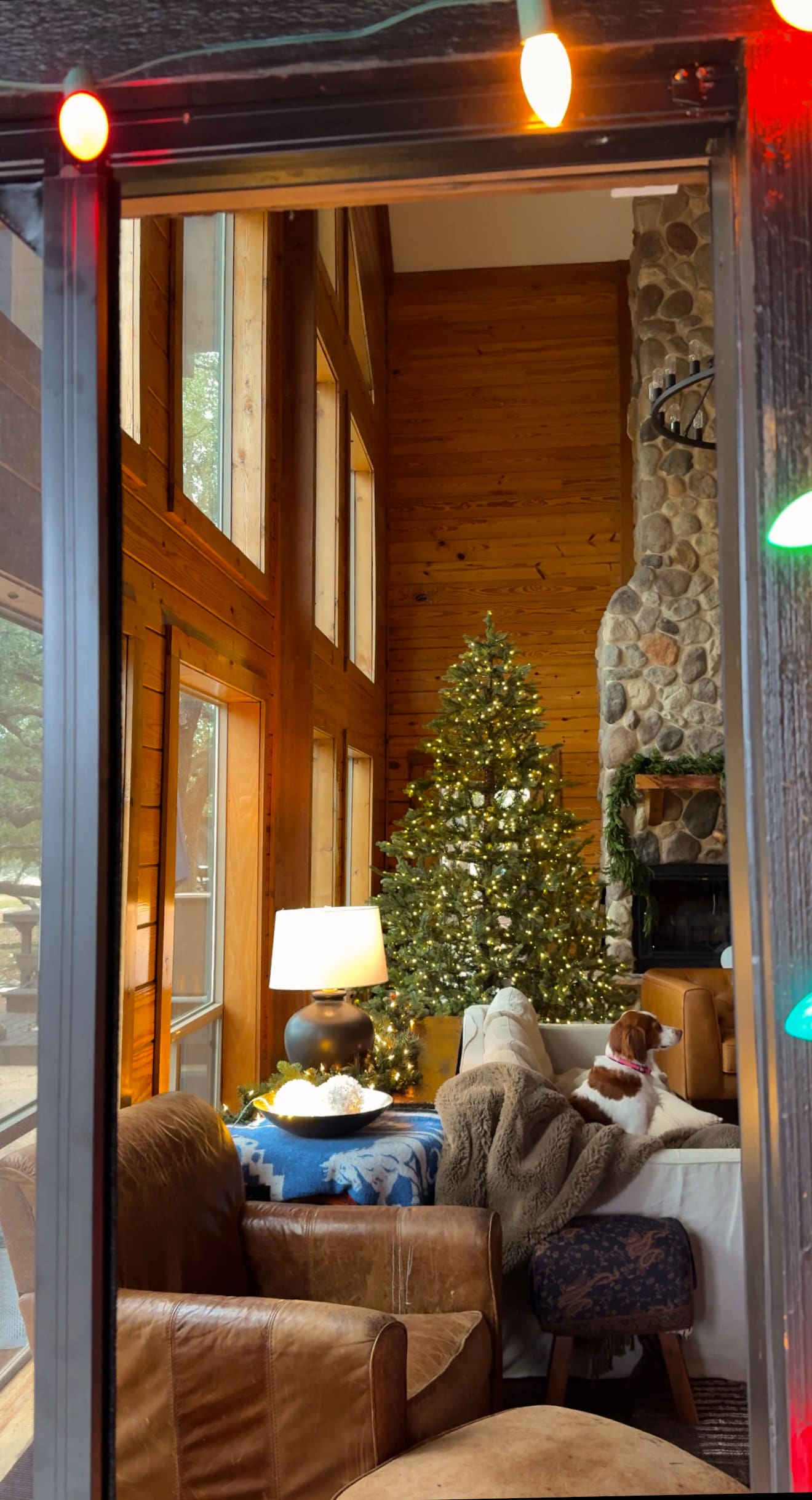 Edited in Tezza with: Lover, Saturation, HSL, & Crop