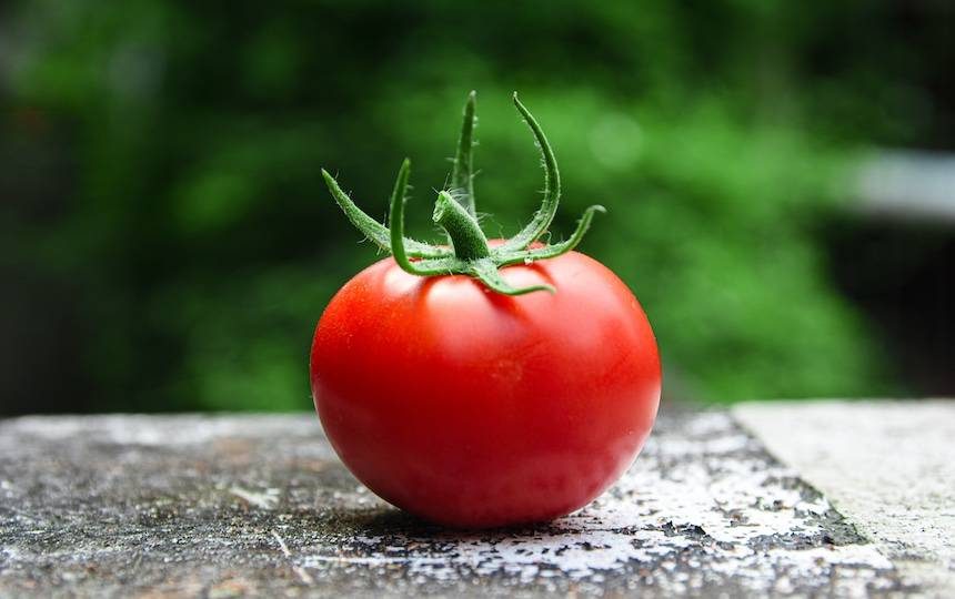 tomato