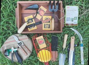 Urban Revolution Tools