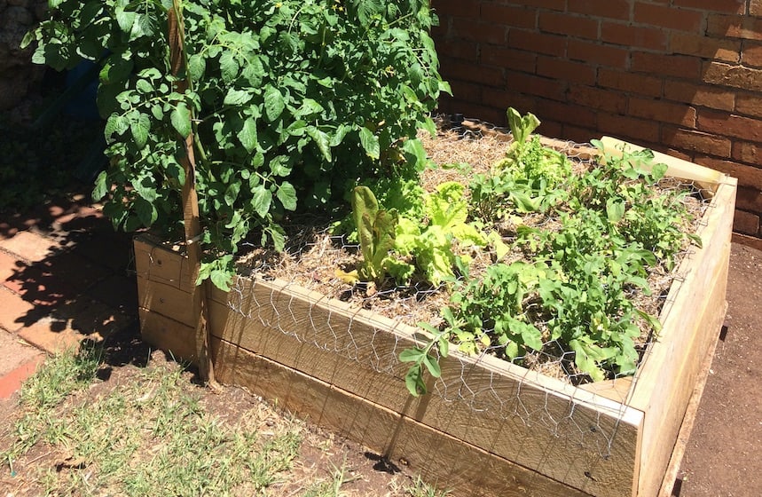 What are wicking beds