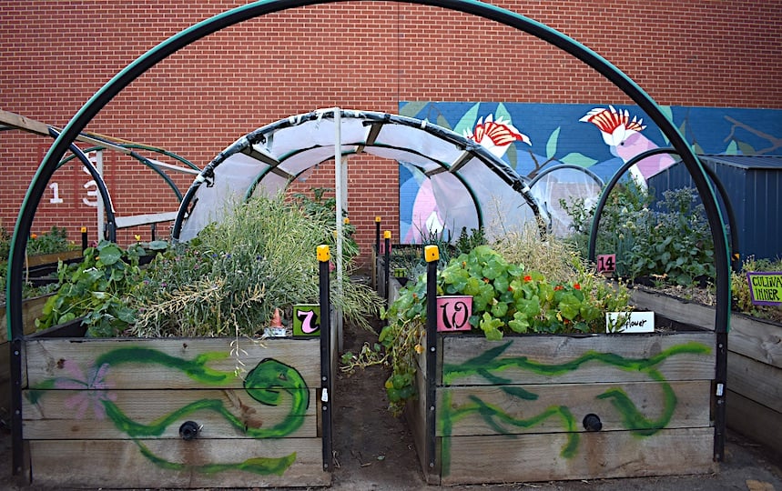 build a wicking bed