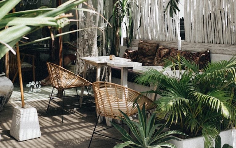 What Is Biophilic Design?