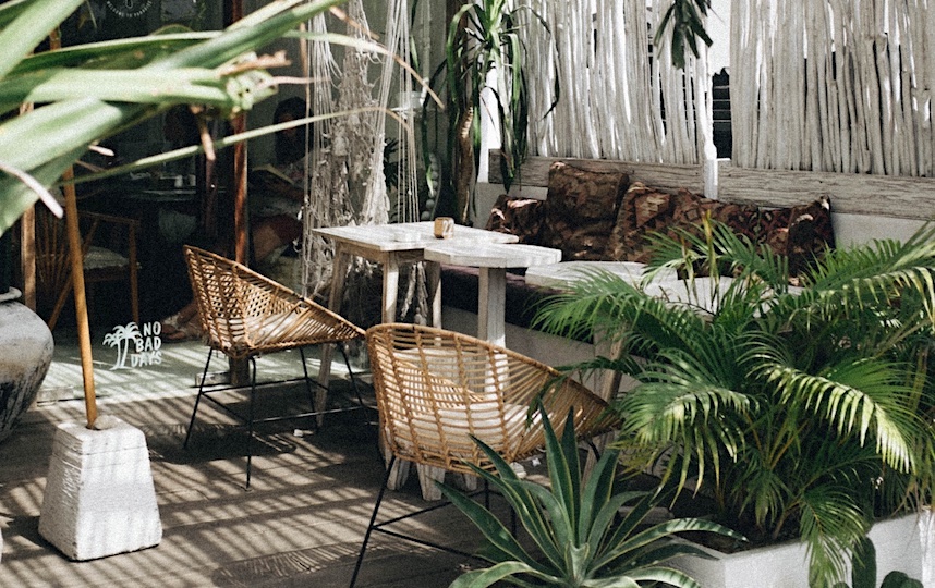 What Is Biophilic Design?