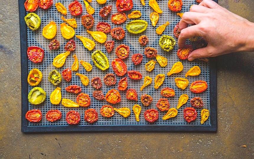 preserving tomatoes