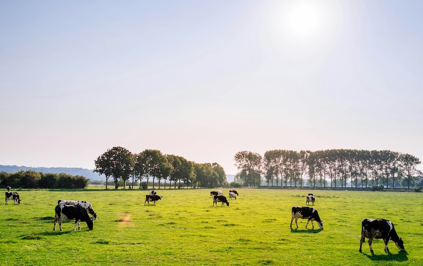 Why You Need To Be Drinking ‘Kind Milk’