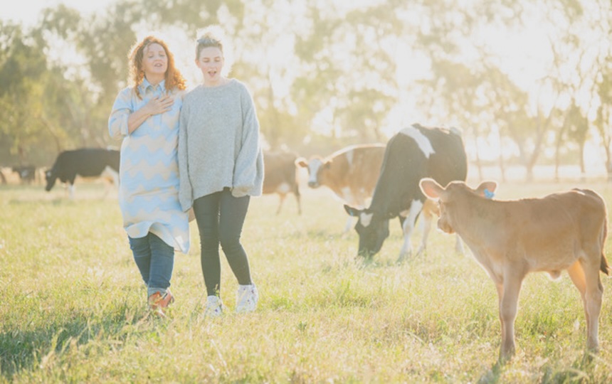 How Now Dairy is 64-acre farm in northern Victoria pushing back on the widely used practice of separating dairy cows from their calves 24 hours after birth. While cows need to give birth to a calf in order to produce milk, according to Cathy, something in the region of half a million five-day-old calves are sent to slaughter every year in Australia alone, all in the name of cheaper milk prices. 