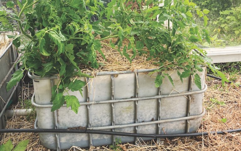 how to build a diy wicking bed