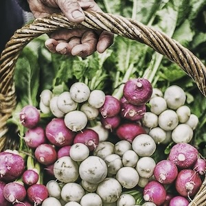 Help your mum achieve the self-reliant life that growing your own food brings with Wynlen House Artisan Village Farm's "Grow Fabulous Organic Food” monthly online mentoring program. 
  
The program includes a monthly vegie cool/cold climate growing action plan, a help desk for answers to vegie growing questions, regular Zoom get-togethers and discounted enrolment in all Wynlen House classes. 