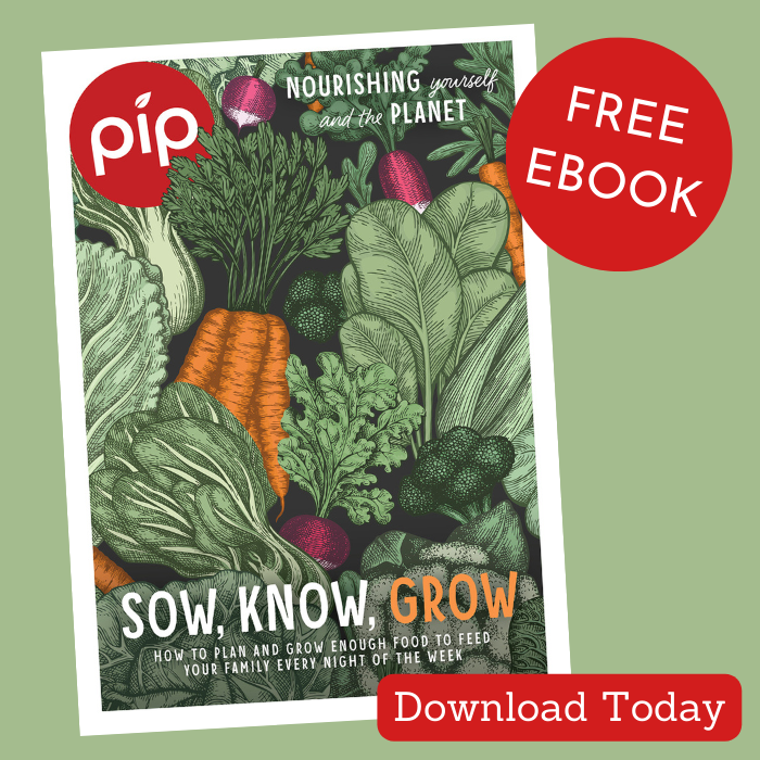 Pip Magazine Free Ebook